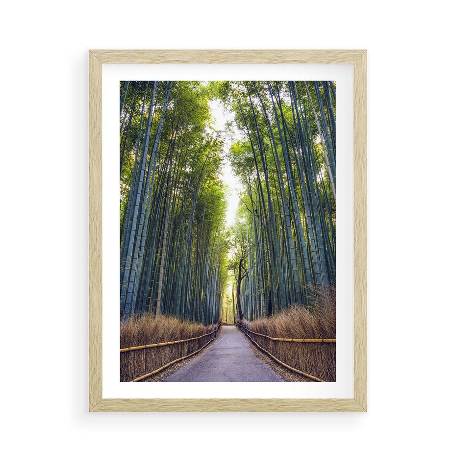 Plakat w ramie 50x70 - Urokliwa dróżka w lesie - las, dróżka - rama drewno