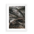 Plakat w ramie 50x70 - Liściaste Palmy - palmy, drzewa palmowe - rama biała