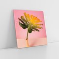 Obraz na płótnie 40x40 - Egzotyczna monstera - monstera, liść