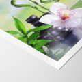 Plakat bez ramy 21x30 - Spa pełne kwiatów i relaksu - spa, kwiat