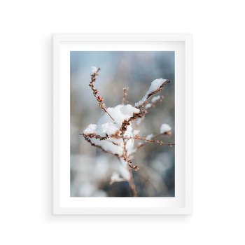 Plakat w ramie 30x40 - Zimowy Urok Natury - gałązki pod śniegiem, natura - rama biała