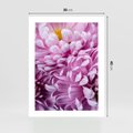 Plakat bez ramy 30x40 - Fioletowy zawrót głowy - kwiat, różowy kwiat