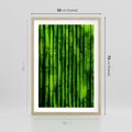 Plakat w ramie 50x70 - Bambusowy urok zielonej harmonii - bambus, zieleń - rama drewno