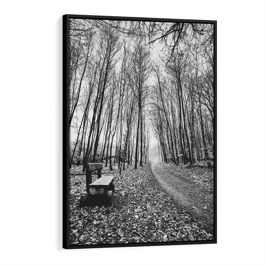 Obraz w ramie 50x70 - Spadające Liście - czarno białe zdjecie, park - rama czarna
