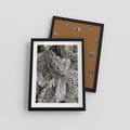 Plakat w ramie 30x40 - Cisza Zimowej Natury - zima, iglaste gałązki - rama czarna