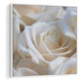 Obraz w ramie 50x50 - Białe róże piękności - białe, róże - rama biała