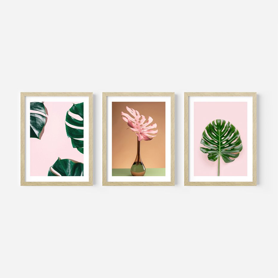Zestaw obrazy w ramie 50x70 galeria - Monstera, liście, pastelowe, tło, tropikalne - rama drewno