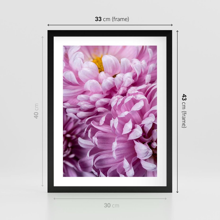 Plakat w ramie 30x40 - Fioletowy zawrót głowy - kwiat, różowy kwiat - rama czarna