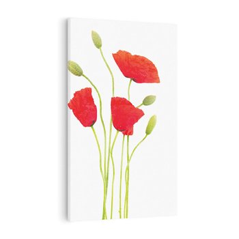 Obraz na płótnie 50x70 - Pola maków w pełnym kolorze - maki, kwiaty