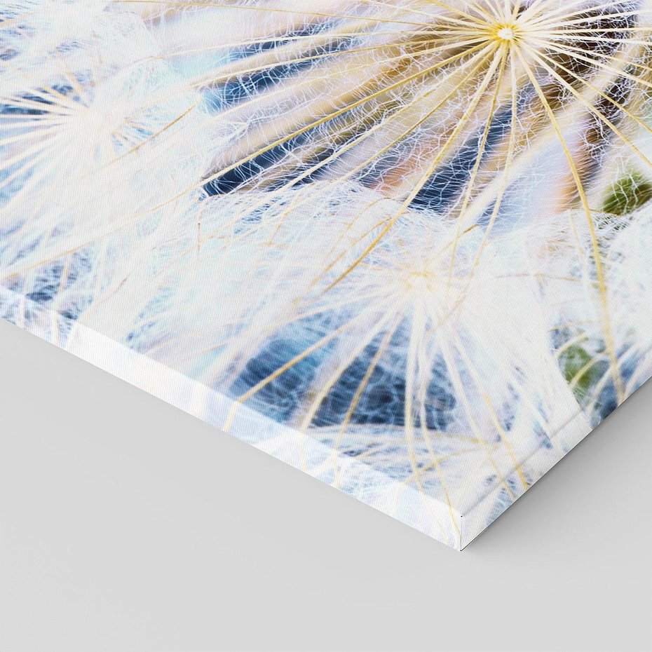 Obraz na płótnie 100x50 - marzenia w locie - dmuchawce, dmuchawiec