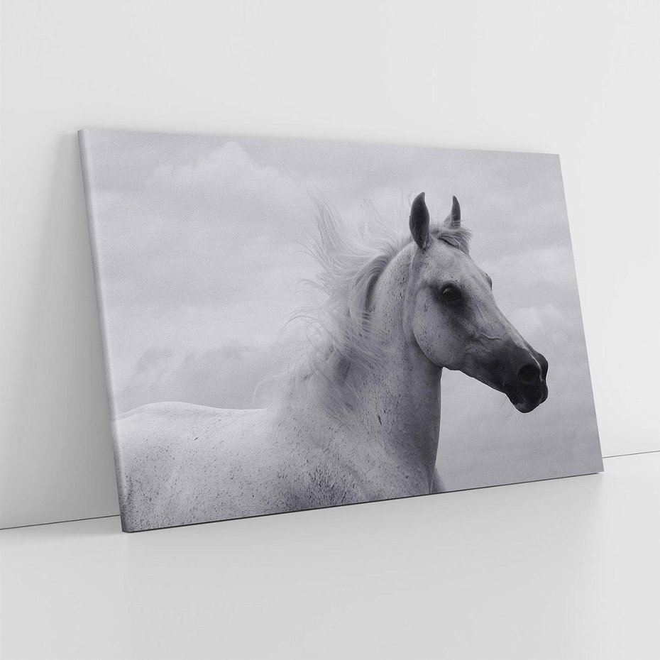 Obraz na płótnie 120x80 - Moc i Wolność - czarno biała fotografia, biały