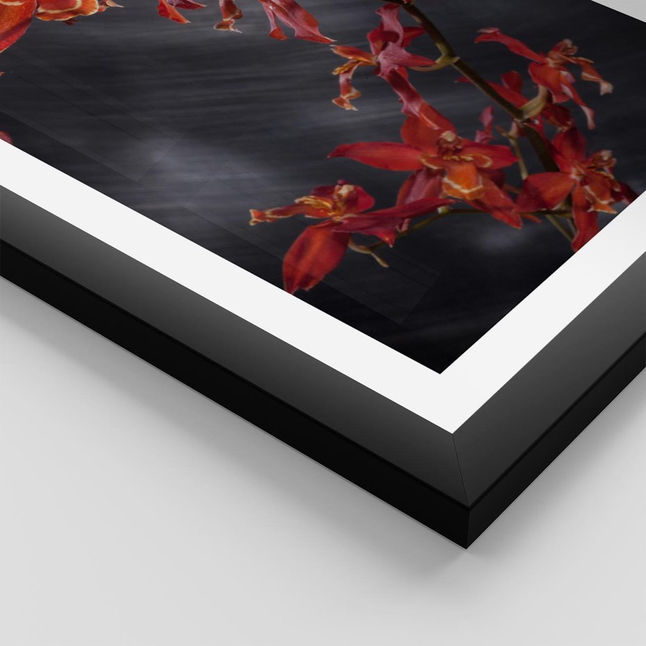 Plakat w ramie 40x50 - Kolorowy Raj - kwiaty, tropikalne - rama czarna