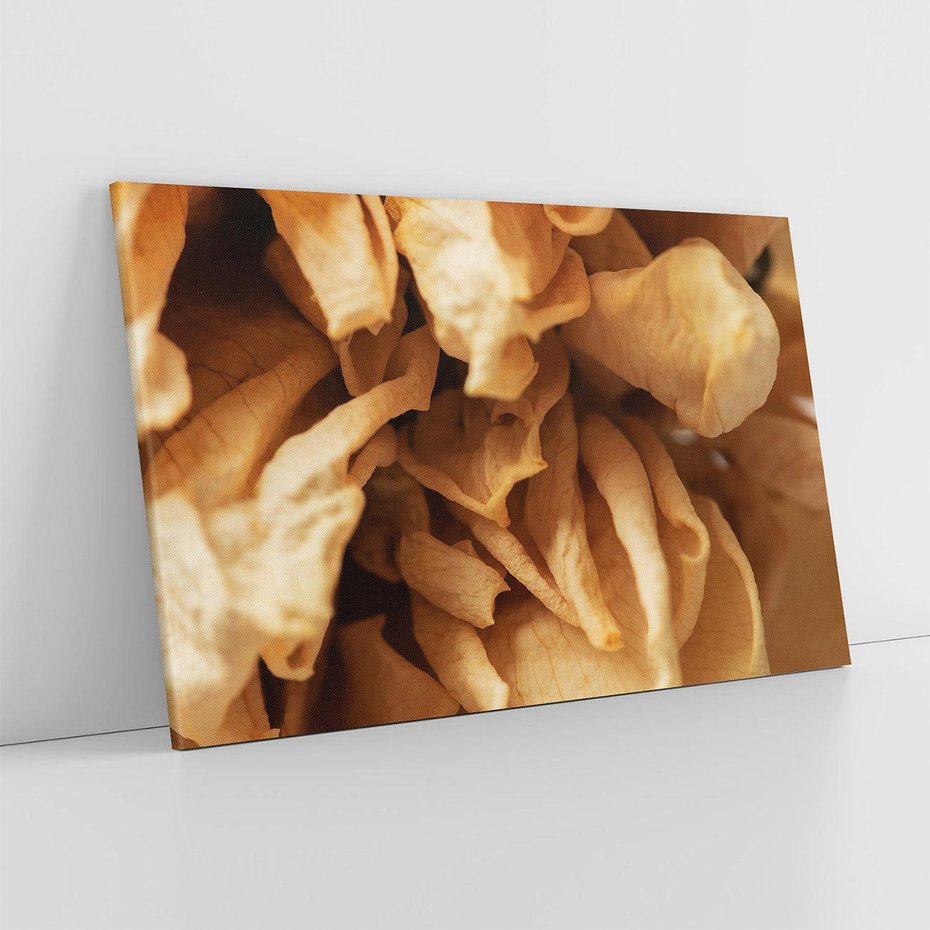 Obraz na płótnie 70x50 - Zjawiskowe zasuszone kwiaty - zasuszone, kwiaty