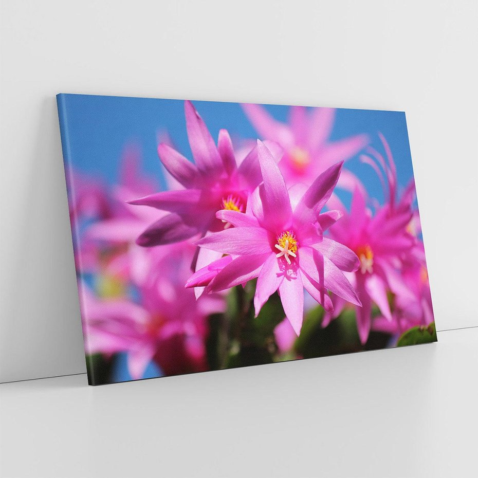 Obraz na płótnie 120x80 - Kwiatowy urok - kwiat, kwiaty