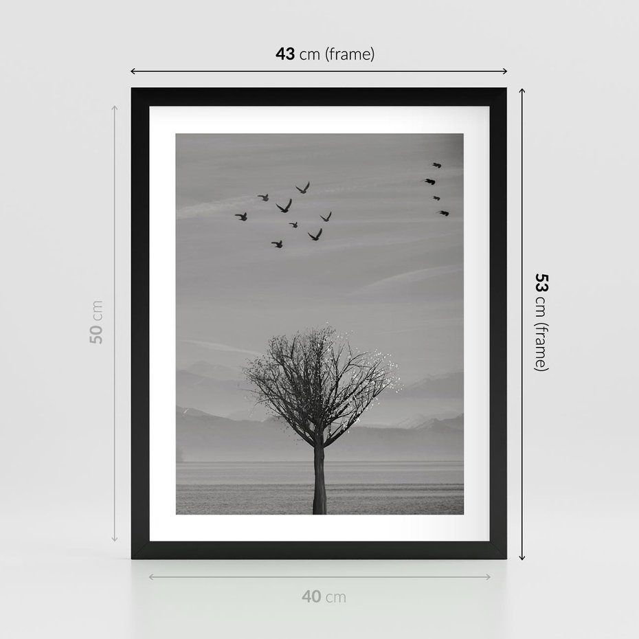 Plakat w ramie 40x50 - Samotne Drzewo - samotne drzewo w polu, czarno białe zdjęcie - rama czarna
