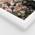 Plakat w ramie 30x40 - Sukulentowa Prostota - sukulenty, zielone liście - rama biała