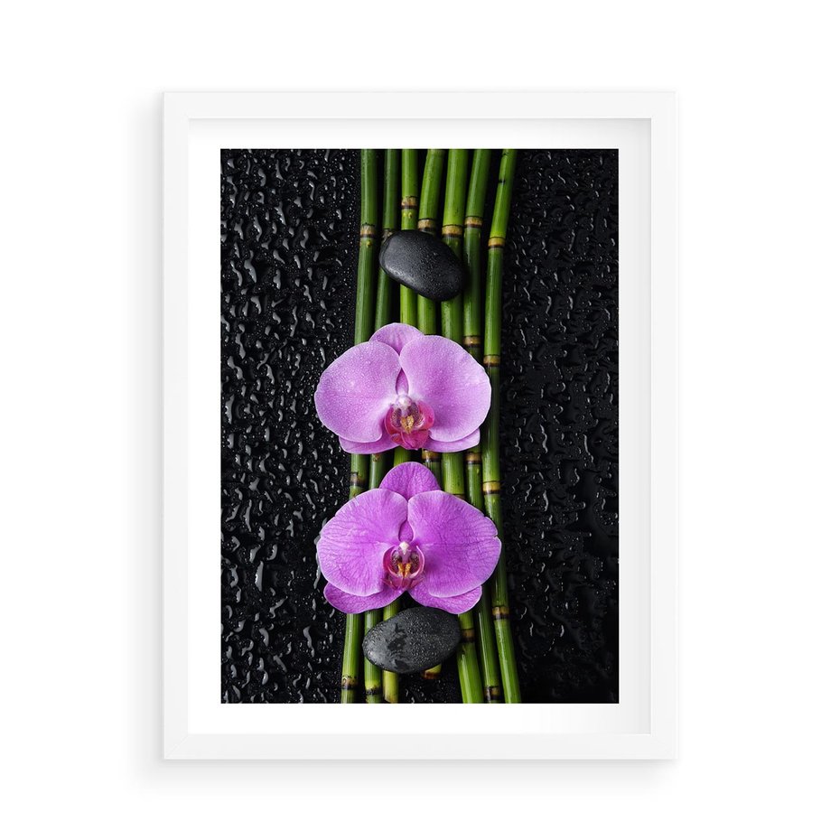 Plakat w ramie 50x70 - Japońskie Spa w Otoczeniu Storczyków - storczyk, spa - rama biała