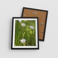 Plakat w ramie 40x50 - Kolorowa łąka - stokrotki, łąka - rama czarna