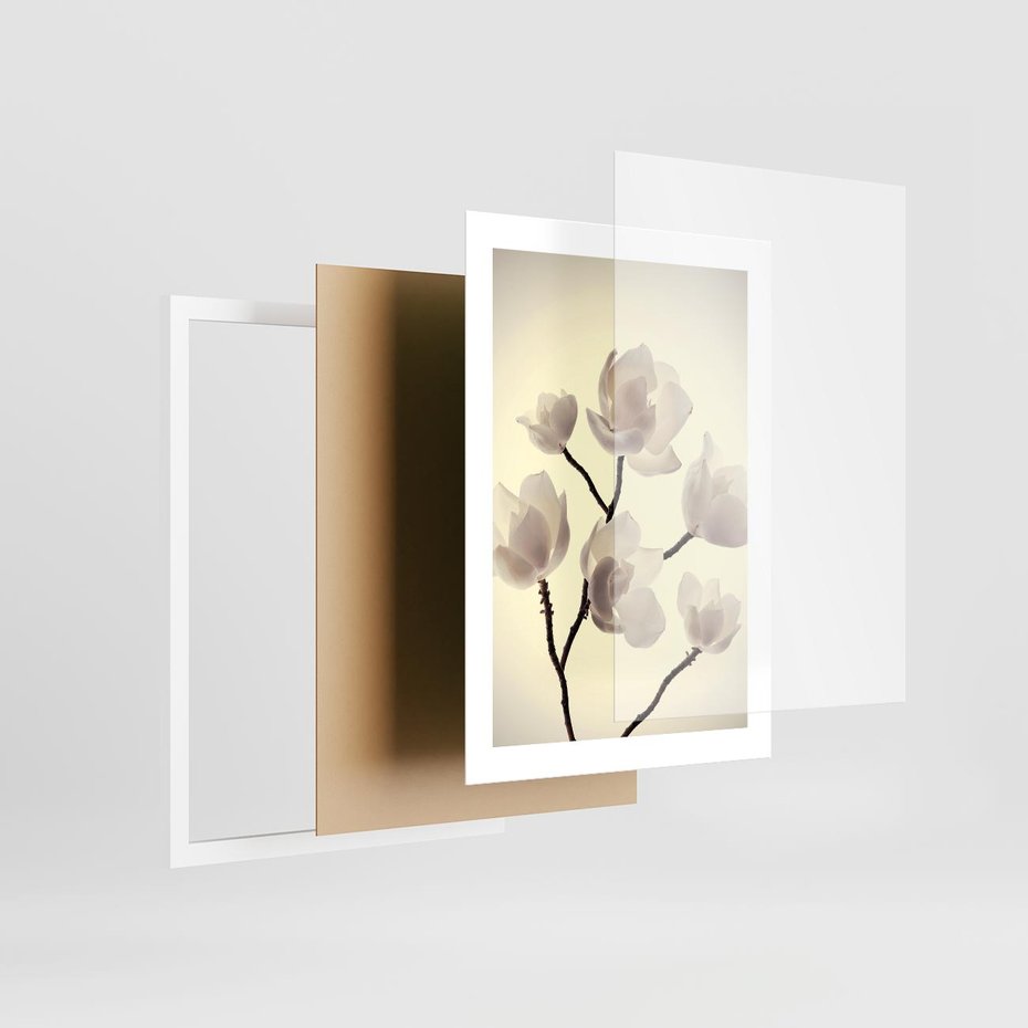 Plakat w ramie 30x40 - Elegancja Natury - magnolia, białe - rama biała