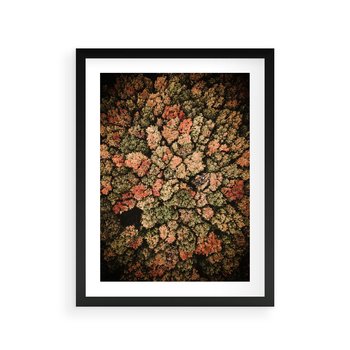 Plakat w ramie 30x40 - Jesień z Lotu Ptaka: Malowniczy Las - las jesienią z lotu ptaka - rama czarna