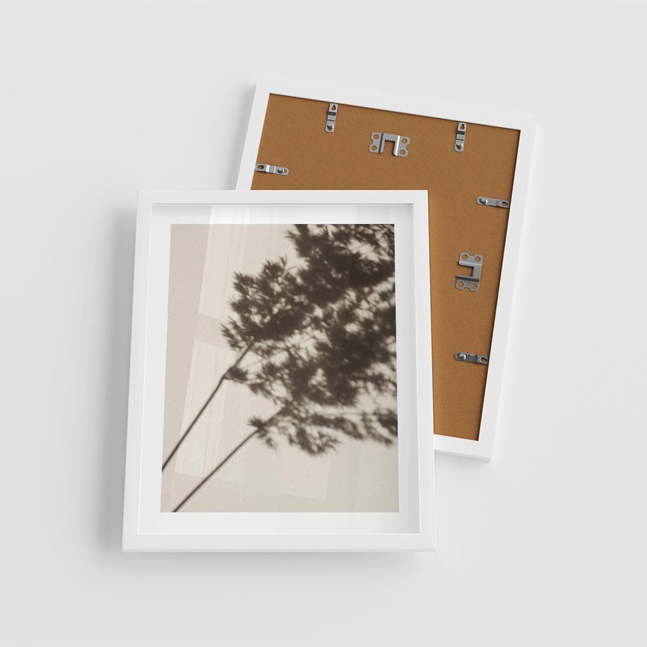 Plakat w ramie 40x50 - Tajemniczy Cień Traw - cień traw, na ścianie - rama biała