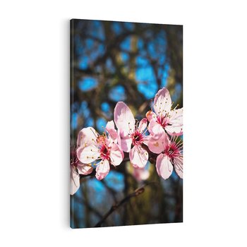 Obraz na płótnie 50x70 - Kwiatowe piękno w pełnym rozkwicie - kwiat, kwiaty