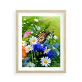 Plakat w ramie 40x50 - Kwiatowy Taniec - motyl, kwiaty - rama drewno