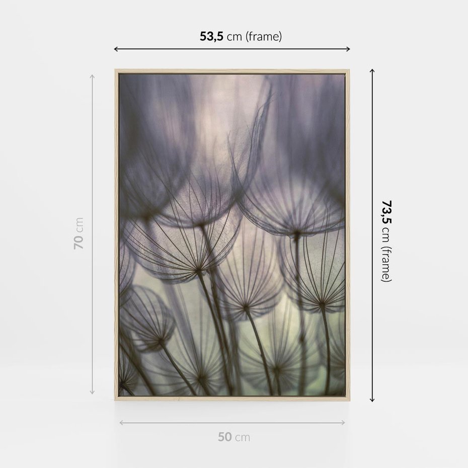 Obraz w ramie 50x70 - Makro dmuchawiec - piękno drobnych detali - dmuchawce, makro - rama drewno