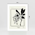Plakat bez ramy 30x40 - Kwiatowe przestrzenie - kwiat, grafika