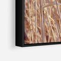 Obraz w ramie 100x70 - Mistrzowskie suche trawy - suche, trawy - rama czarna
