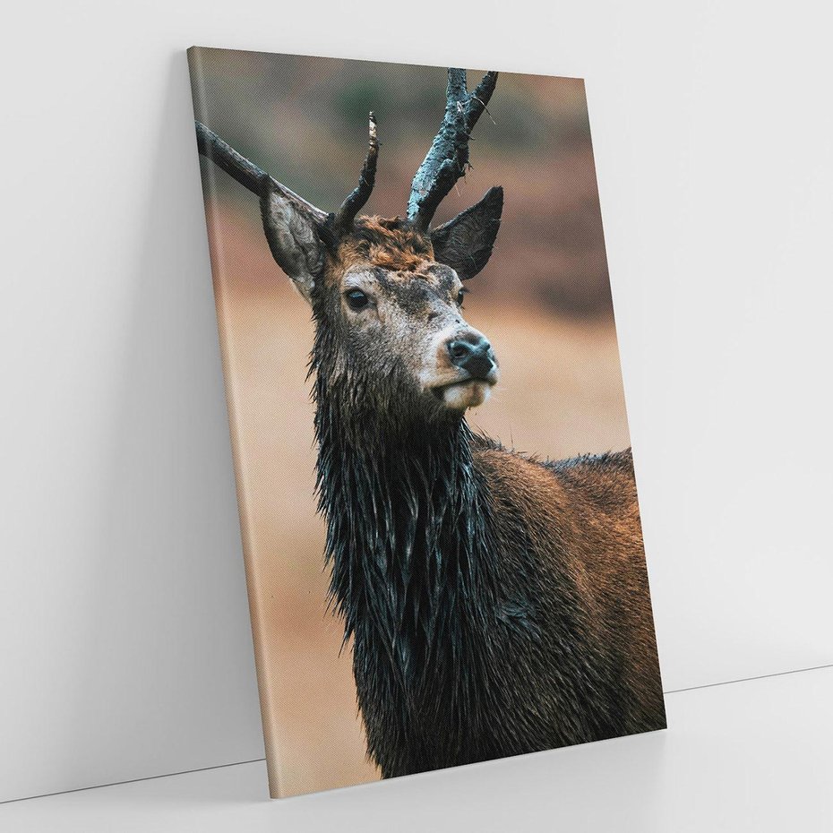 Obraz na płótnie 80x120 - Spokojny jeleń - jeleń, las