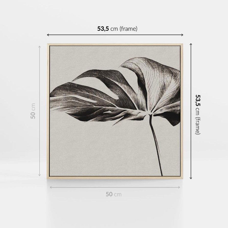 Obraz w ramie 50x50 - Szepczący Liść - szkic, czarno biały - rama drewno