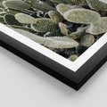 Plakat w ramie 50x70 - Kaktusowa Harmonia - kaktusy, fotografia - rama czarna