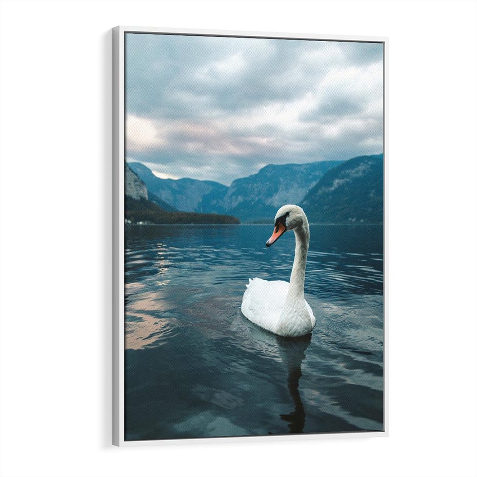 Obraz w ramie 80x120 - Łabędzi Śpiew - fotografia, plakat - rama biała