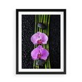 Plakat w ramie 50x70 - Japońskie Spa w Otoczeniu Storczyków - storczyk, spa - rama czarna