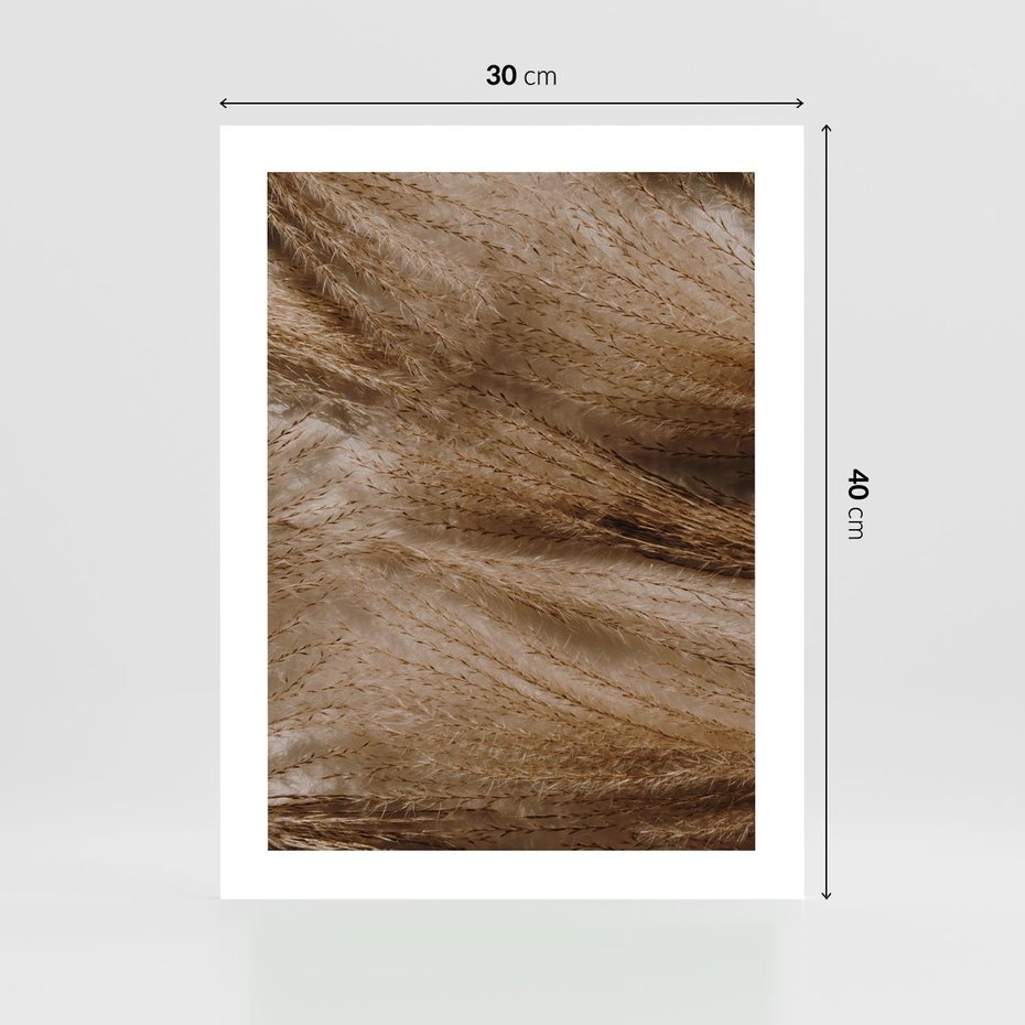 Plakat bez ramy 30x40 - Pampasowy Brąz - suche trawy, trawa pampasowa