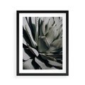 Plakat w ramie 40x50 - Egzotyczny Raj - sukulenty, kaktusy - rama czarna