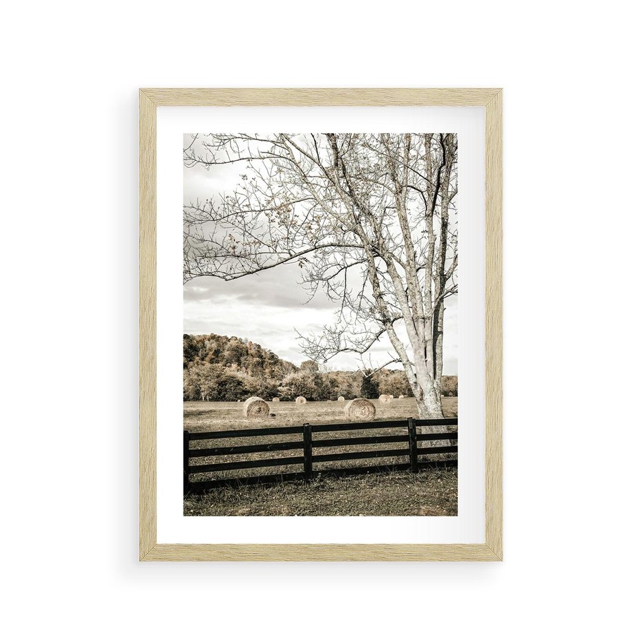 Plakat w ramie 30x40 - Drzewa i Snopki Siana - farma, drzewa - rama drewno
