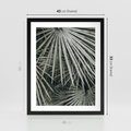 Plakat w ramie 40x50 - Ujęcie Tropikalnej Natury - palmy, liście palmy - rama czarna