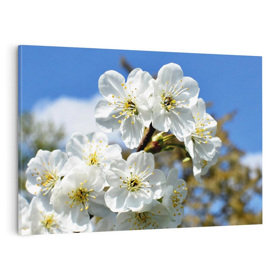 Obraz na płótnie 100x70 - Kwiatowa harmonia natury - kwiat, kwiaty