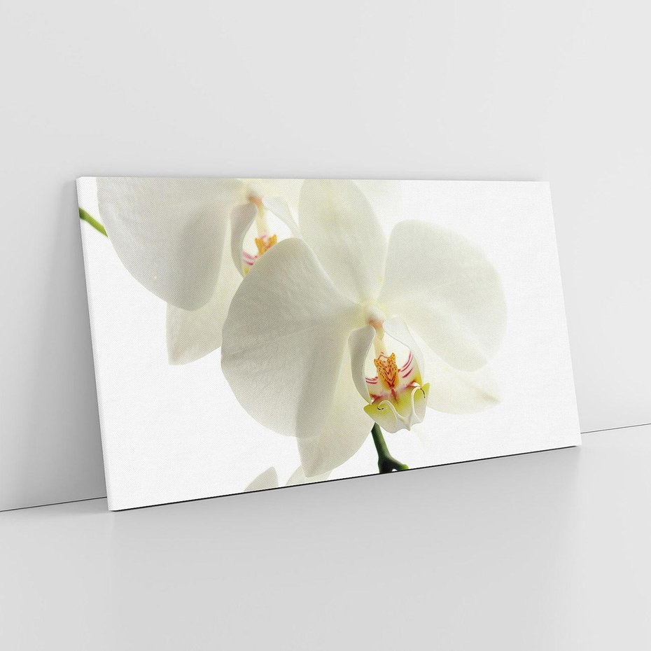 Obraz na płótnie 140x70 - Kwiatowe piękno - kwiat, kwiaty