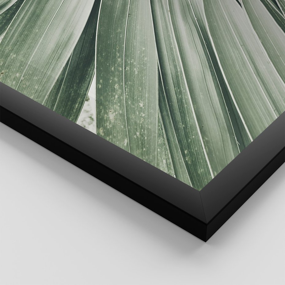 Zestaw obrazy w ramie 40x50 galeria - Liście, minimalizm, zieleń - rama czarna