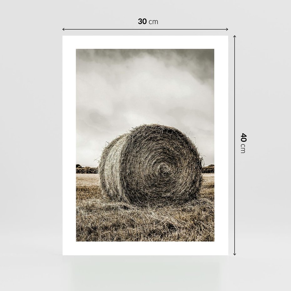 Plakat bez ramy 30x40 - Siano w Sepii: Wiejska Tradycja - snopek siana, bela siana