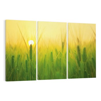 Obraz na płótnie 120x80 - Zboże w kłosach: Oda do plonów natury - zboże, kłos