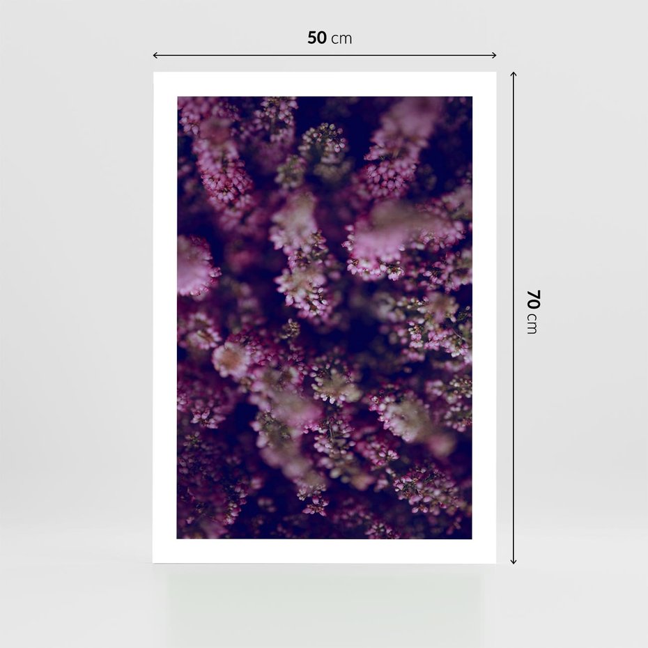 Plakat bez ramy 50x70 - Wrzosowa Delikatność - wrzosy, kwiaty