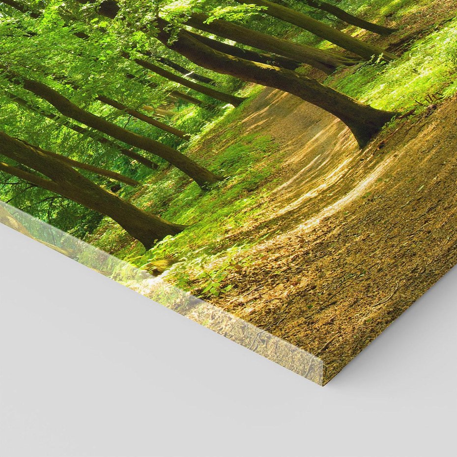 Obraz na płótnie 80x120 - Mistyka leśnych drzew - las, drzewa