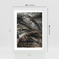 Plakat w ramie 30x40 - Liściaste Palmy - palmy, drzewa palmowe - rama biała
