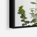 Obraz w ramie 50x50 - Żywa eukaliptusowa zieleń - eukaliptus, zielone - rama czarna