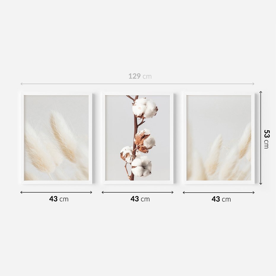 Zestaw obrazy w ramie 40x50 galeria - Suche, trawy, boho, pampas - rama biała