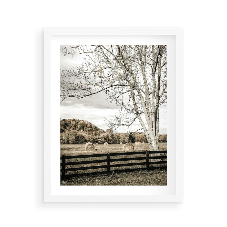 Plakat w ramie 40x50 - Drzewa i Snopki Siana - farma, drzewa - rama biała